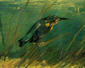 文森特 威廉 梵高 : 翠鸟